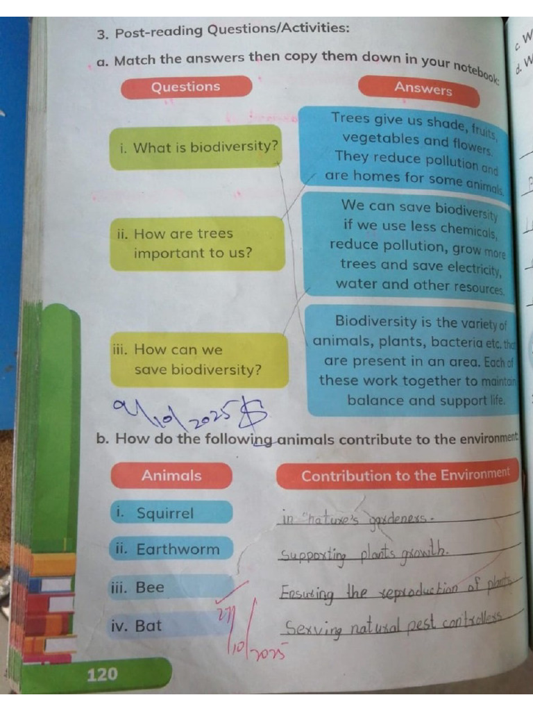 Junior 3 English (A) Bookwork | PDF