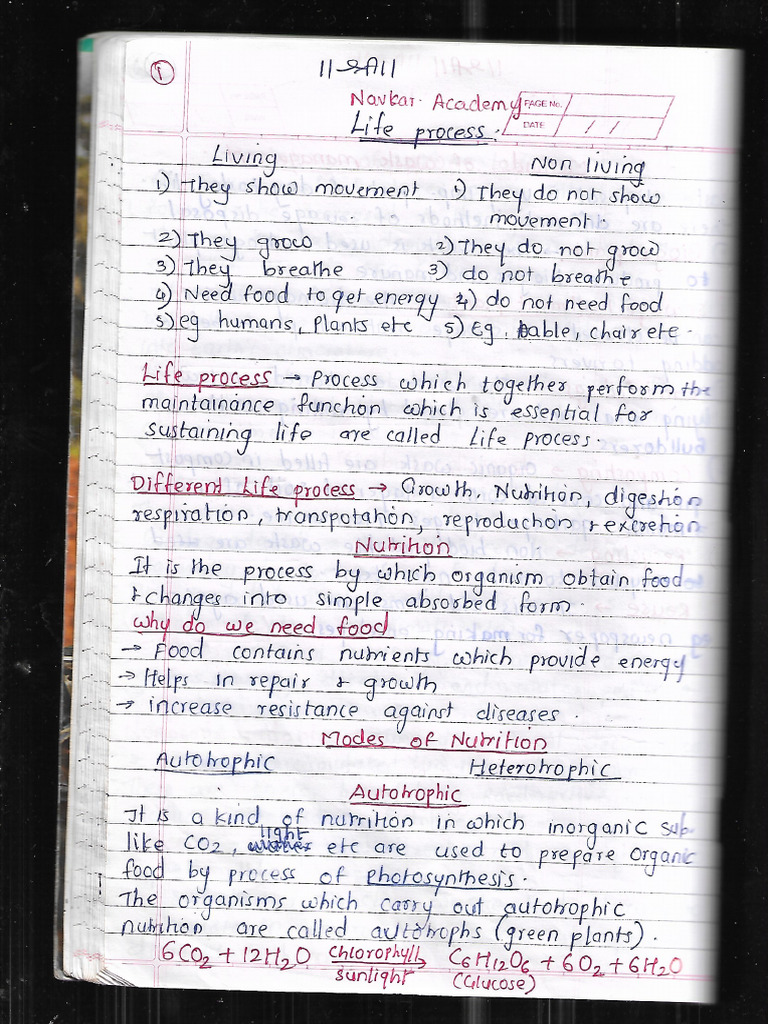 Life Process | PDF