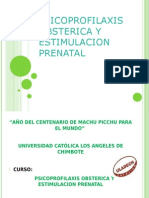 Psicoprofilaxis Obsterica y Estimulacion Prenatal