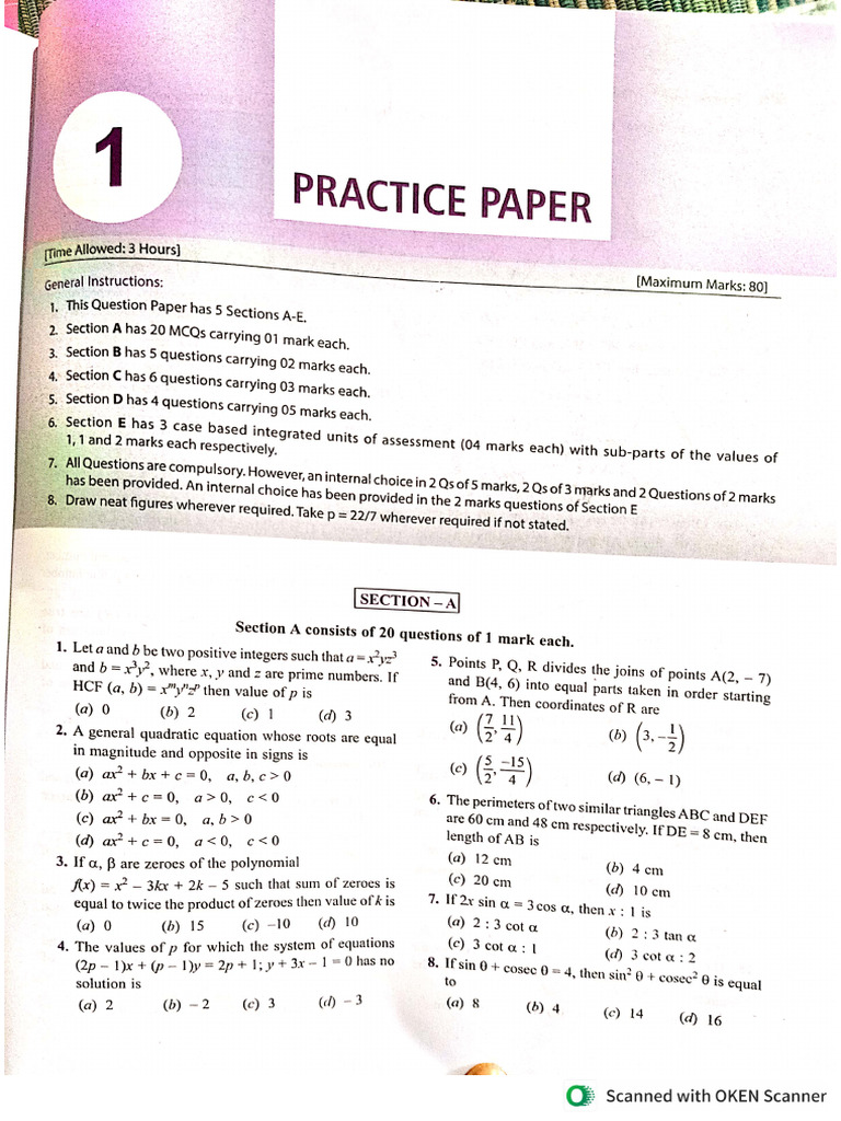 Grade 10 Sample Paper | PDF