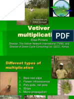 GCC - Vetiver Multiplication