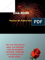 UNA ROSA