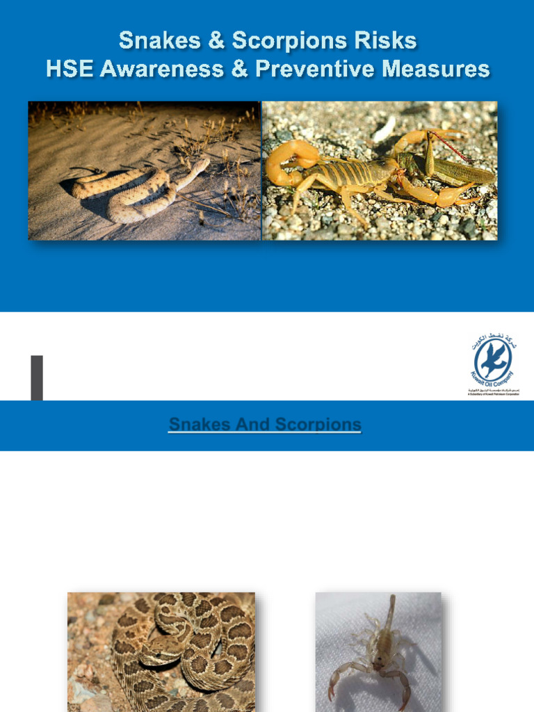 Snakes Scorpions Risks_HSE Preventive Measures | PDF