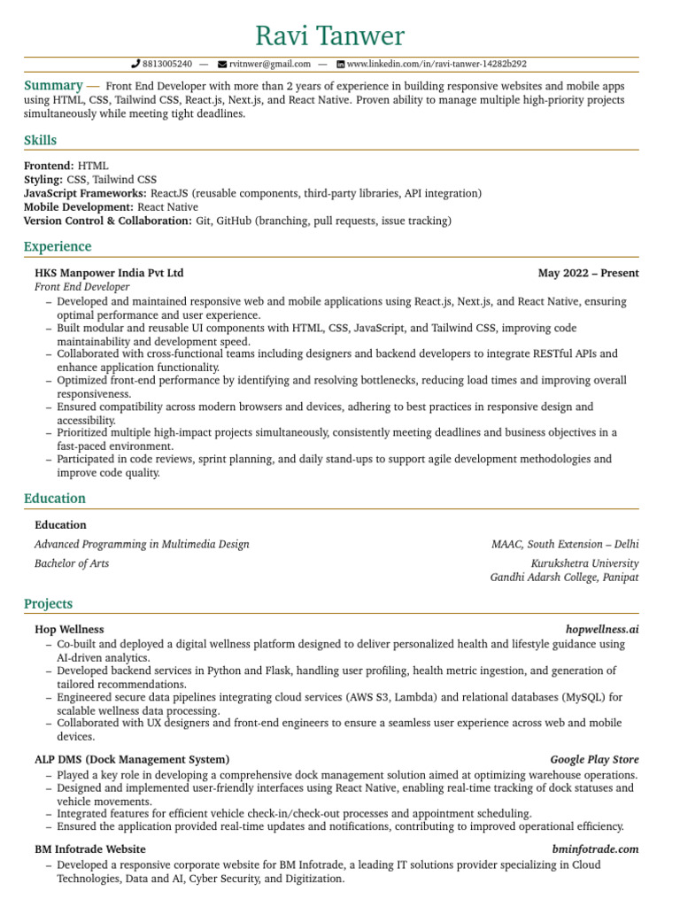 Front End Developer Resume Summary | PDF | Mobile App | Computer ...