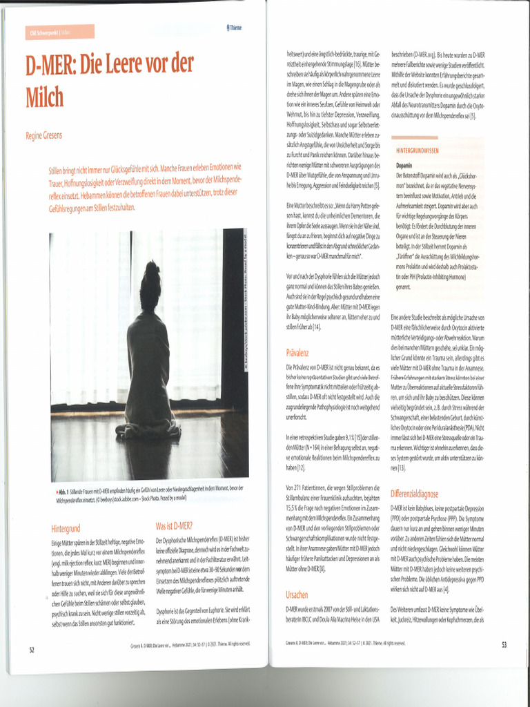 D Mer_ Die Leere Vor Der Milch (1) | PDF