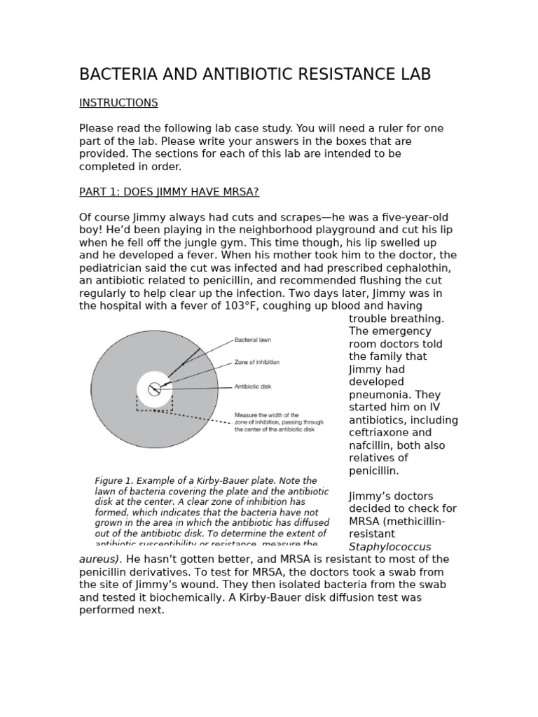 MRSA Detection and Antibiotic Resistance Lab | PDF | Methicillin ...
