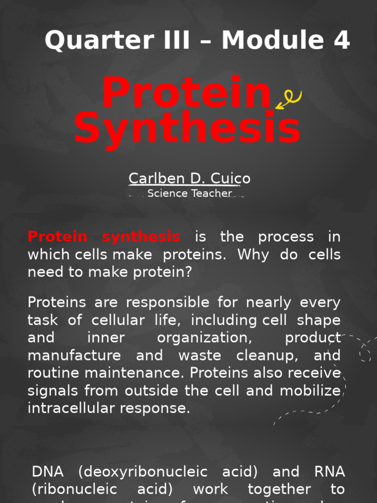 Protein Synthesis | PDF | Translation (Biology) | Rna