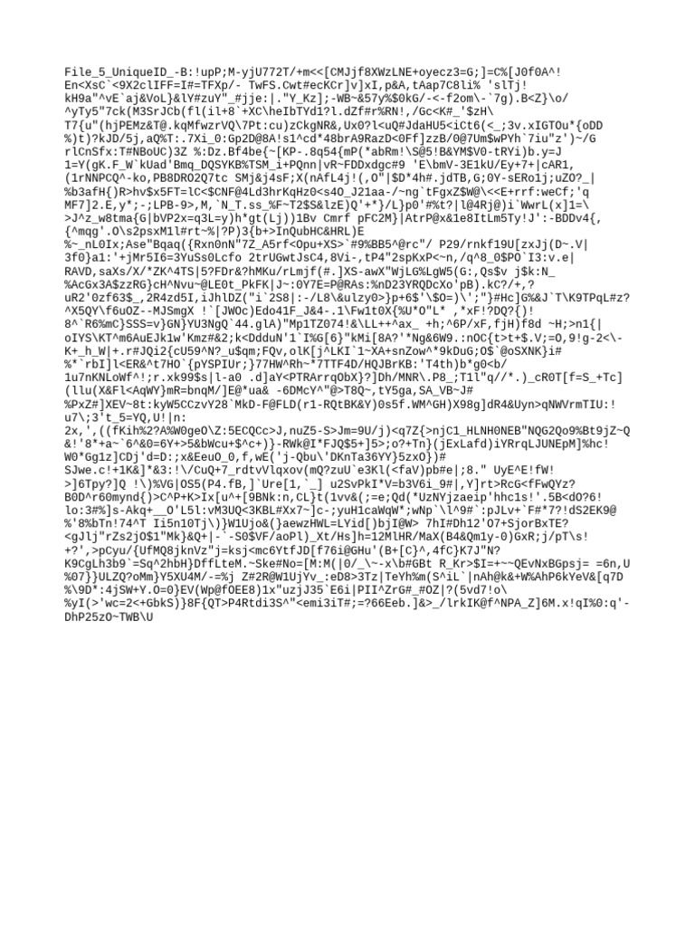 Empty File 58383978899010101001 | PDF