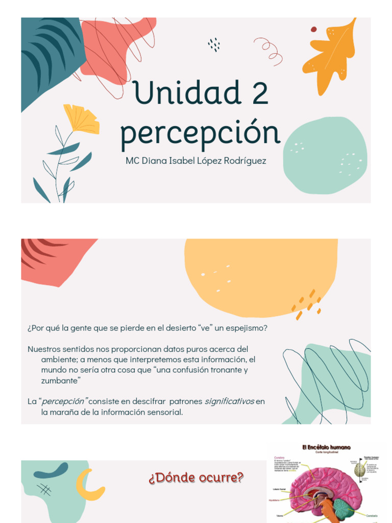 1 Percepción | PDF | Percepción | Ciencia cognitiva