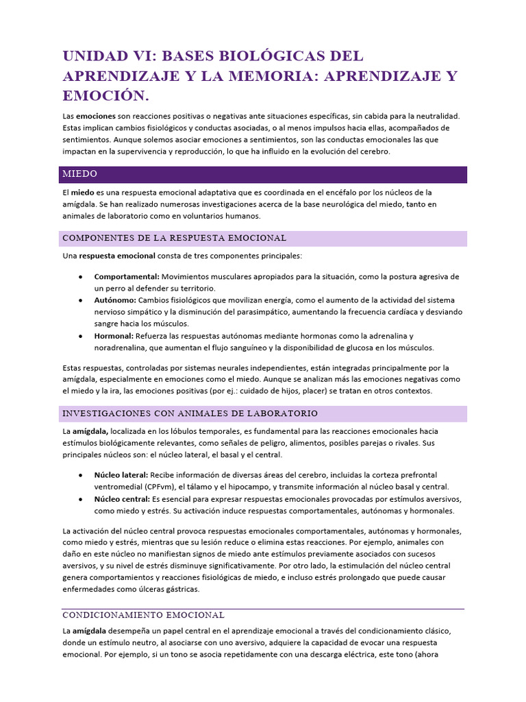Emociones y Aprendizaje: La Amígdala | PDF | Las emociones | La ...