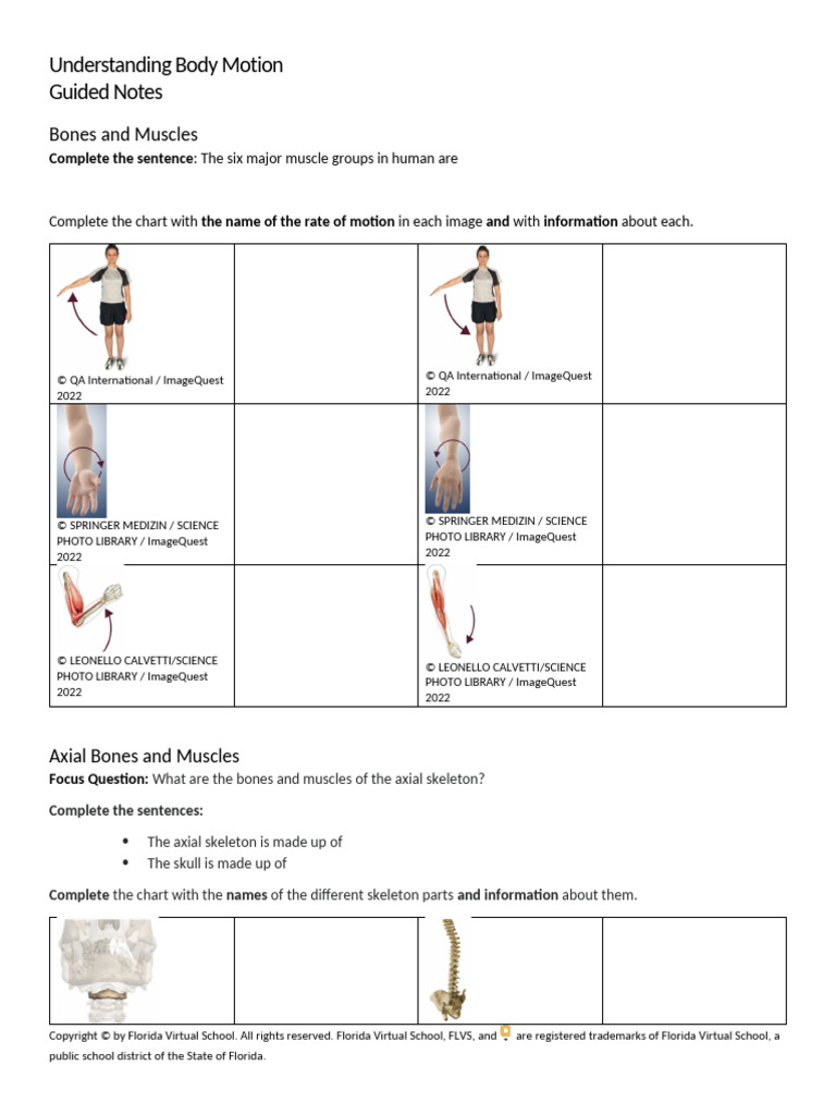 Body Motion: Bones and Muscles Guide | PDF | Anatomical Terms Of Motion ...