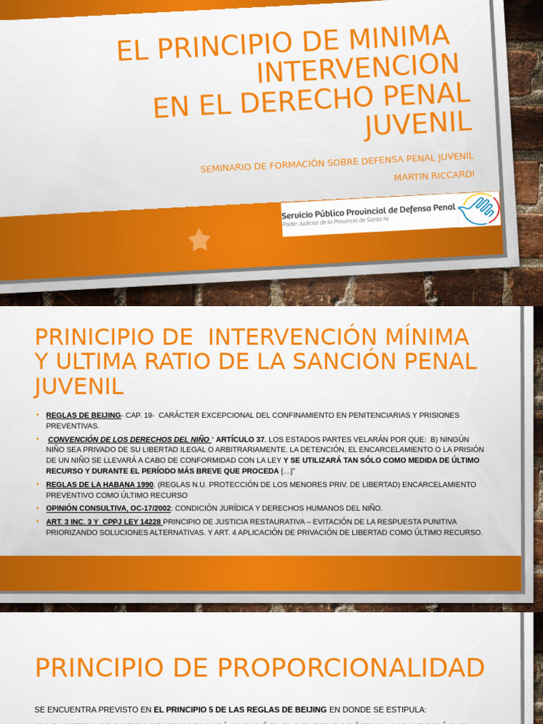 El Principio de Minima Intervencion en El Dppj | PDF | Derechos de los ...