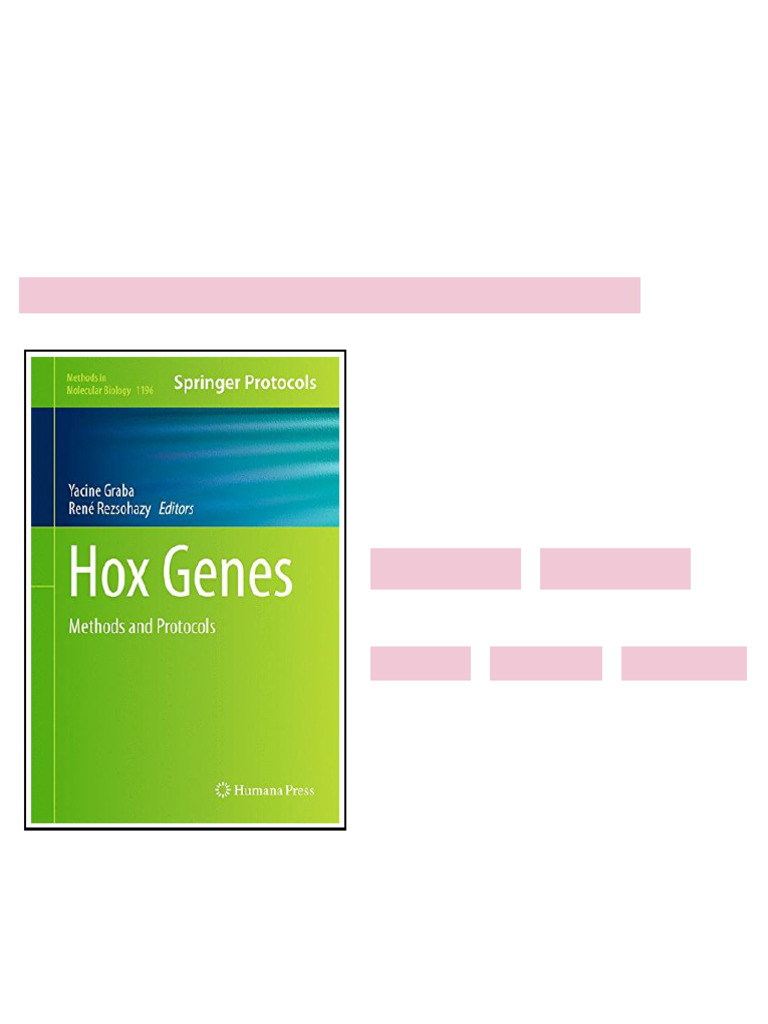 Hox Genes Methods and Protocols 1st Edition Yacine Graba sample | PDF ...