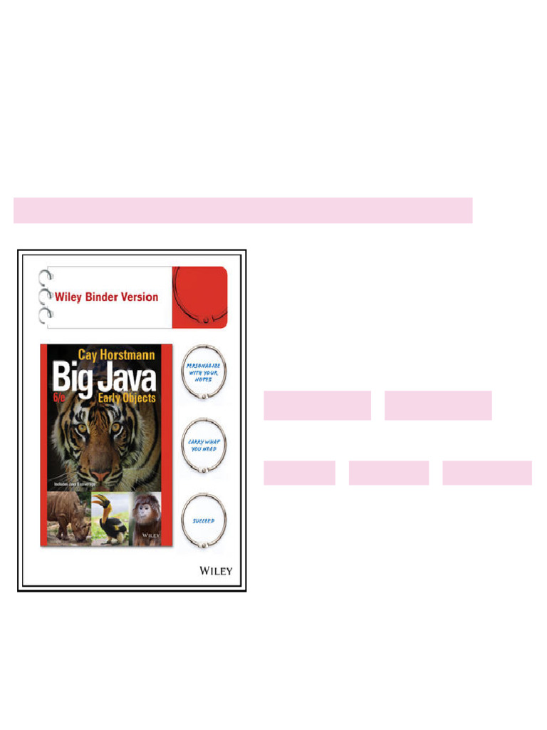 Test bank for Big Java: Early Objects 6th Edition by Horstmann ...