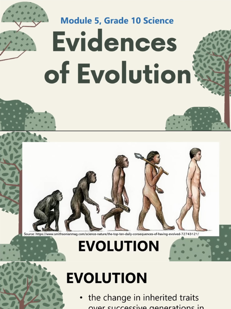 Evidence of Evolution | PDF