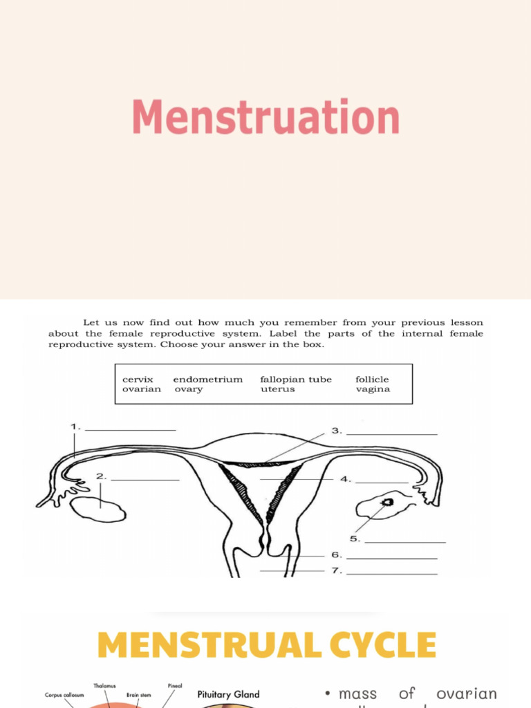 Men Stration | PDF | Menstrual Cycle | Luteinizing Hormone