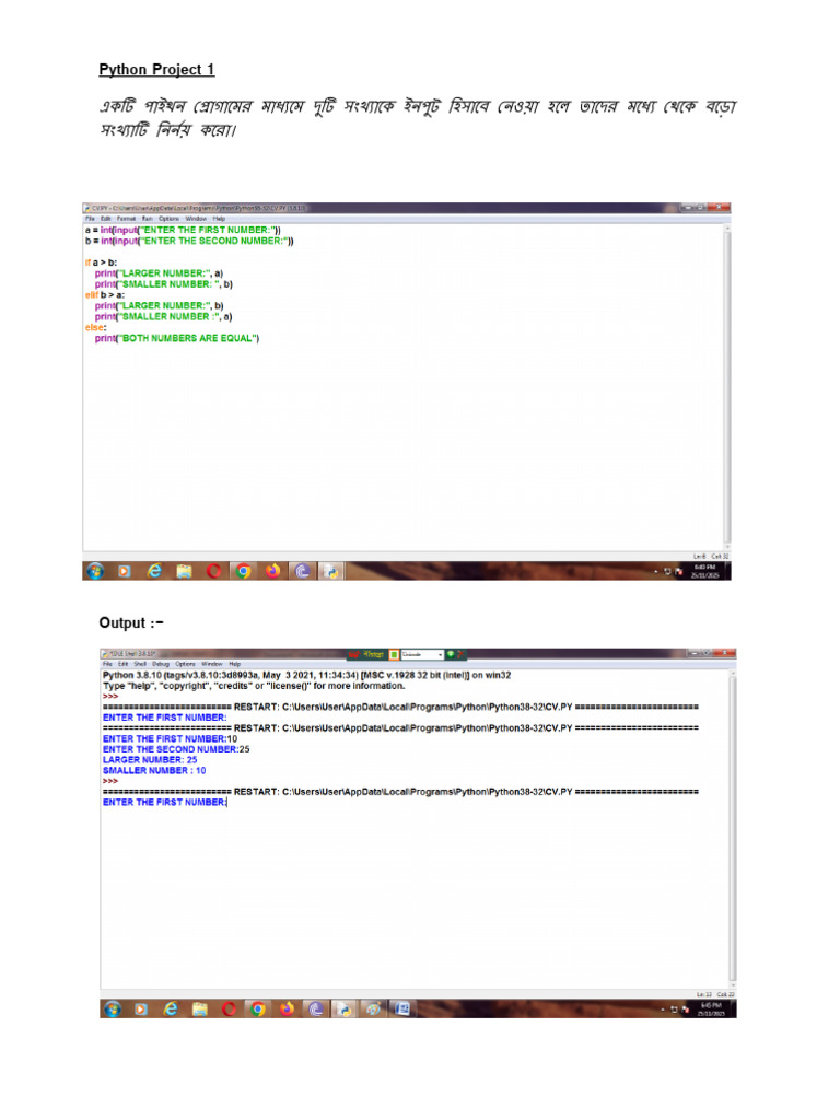 Python Project | PDF