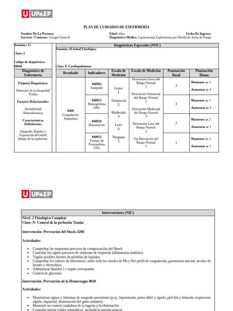 Plan de Cuidados para Laparotomía | PDF | Especialidades Medicas ...