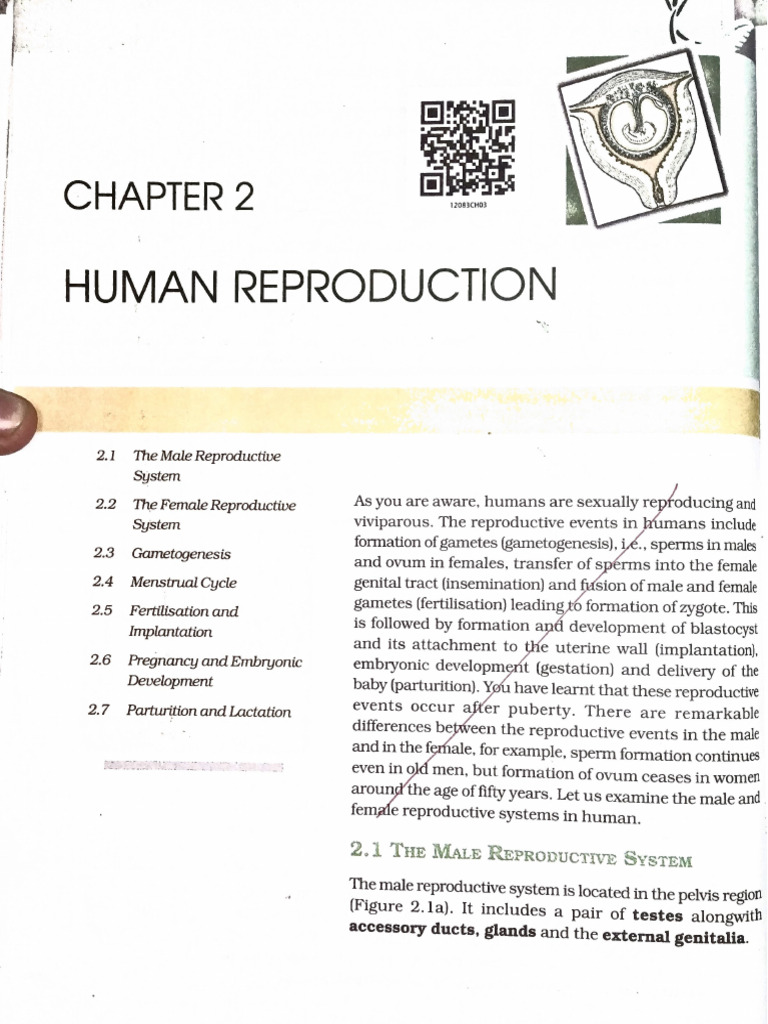 Human Reproduction | PDF