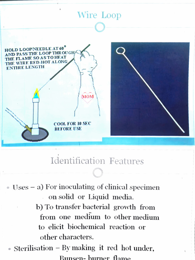 Micro Spottings | PDF