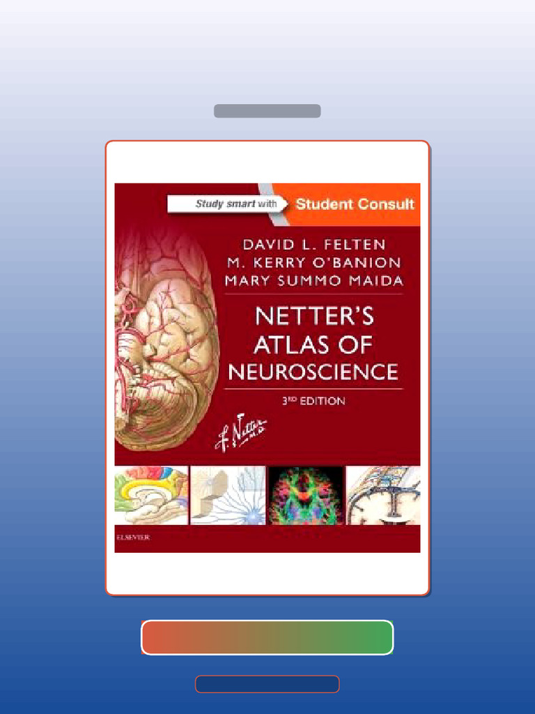 Test Bank for Netters Atlas of Neuroscience 3rd Edition | PDF | Nervous ...