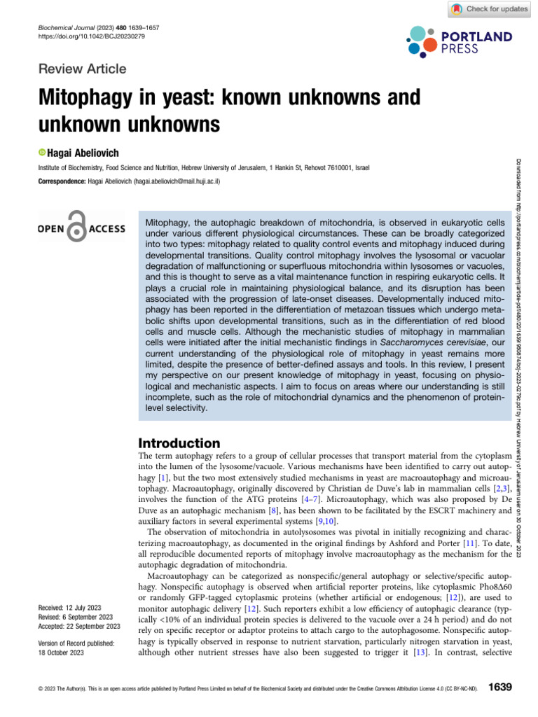 Mitophagy in Yeast: Insights and Gaps | PDF | Autophagy | Biological ...