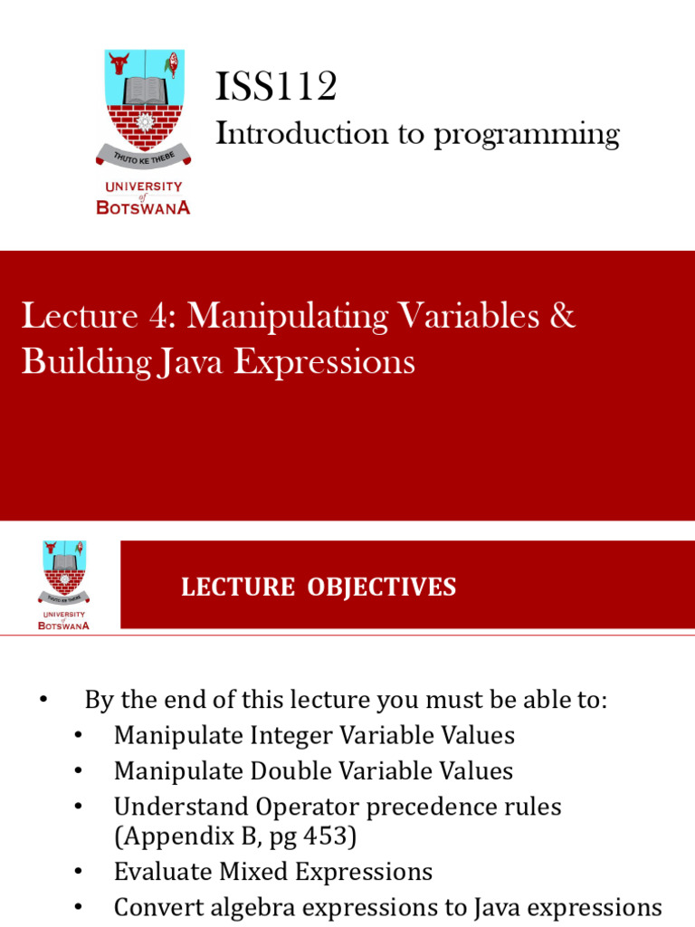 Java Variable Manipulation Basics | PDF | Multiplication | Integer ...