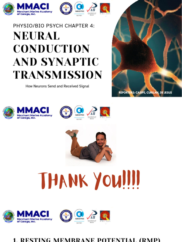 Neural Conduction and Synaptic Transmission | PDF | Synapse ...