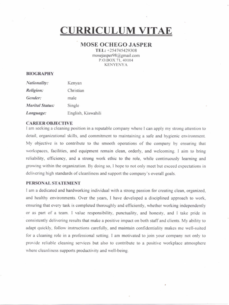 CV1 | PDF