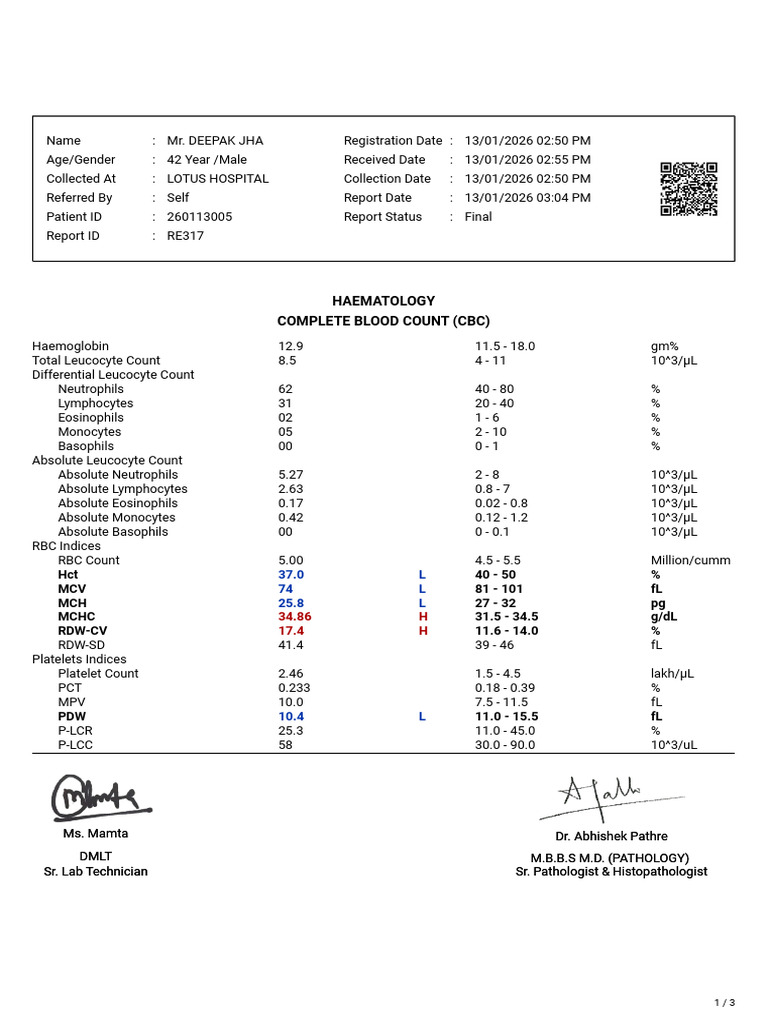Deepak Jha Male 42 Year | PDF | Anemia | White Blood Cell