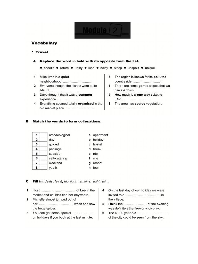 Onscreen b 2 Plus Module 2 | PDF