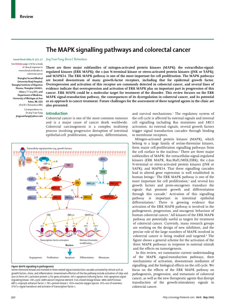 ERK MAPK Pathway in Colorectal Cancer | PDF | Extracellular Signal ...