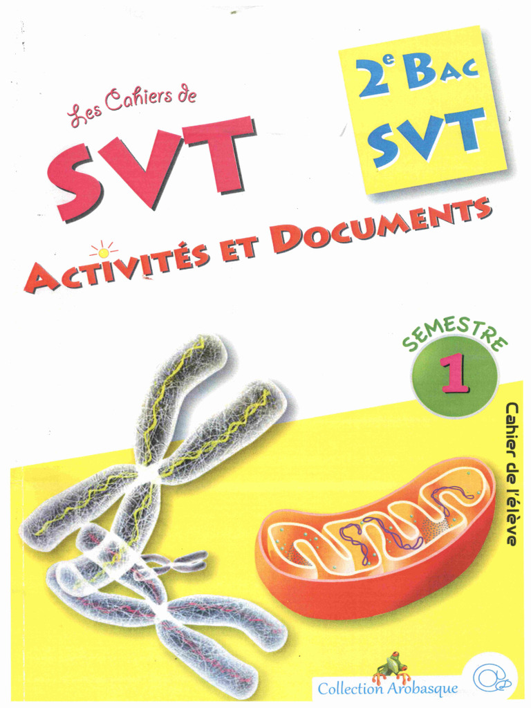 SVT1 | PDF