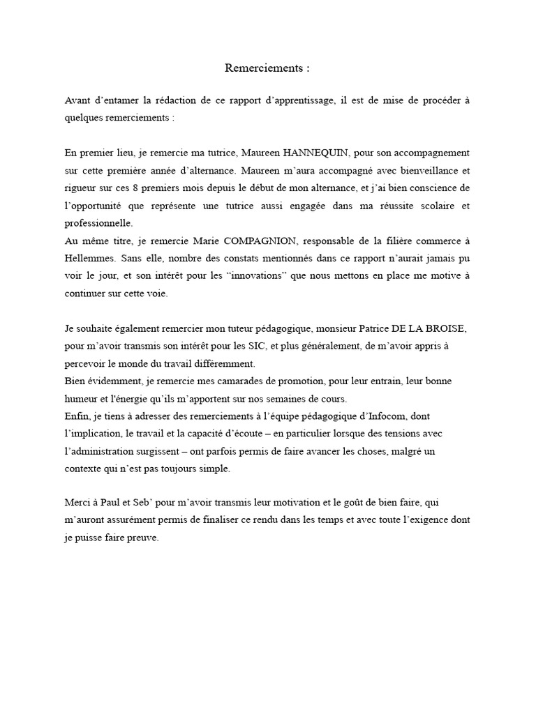 Remerciements et introduction au rapport | PDF | Pédagogie | Apprentissage