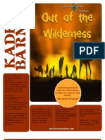 Out of the Wilderness - Kadesh Barnea