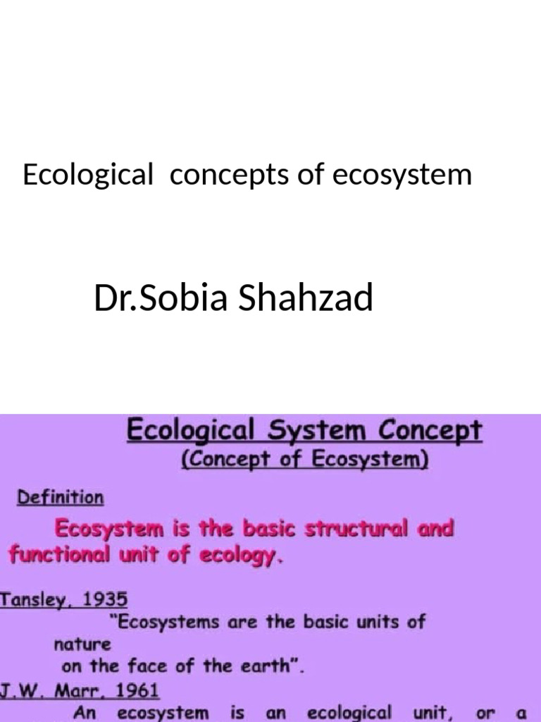 Understanding Ecosystem Components | PDF