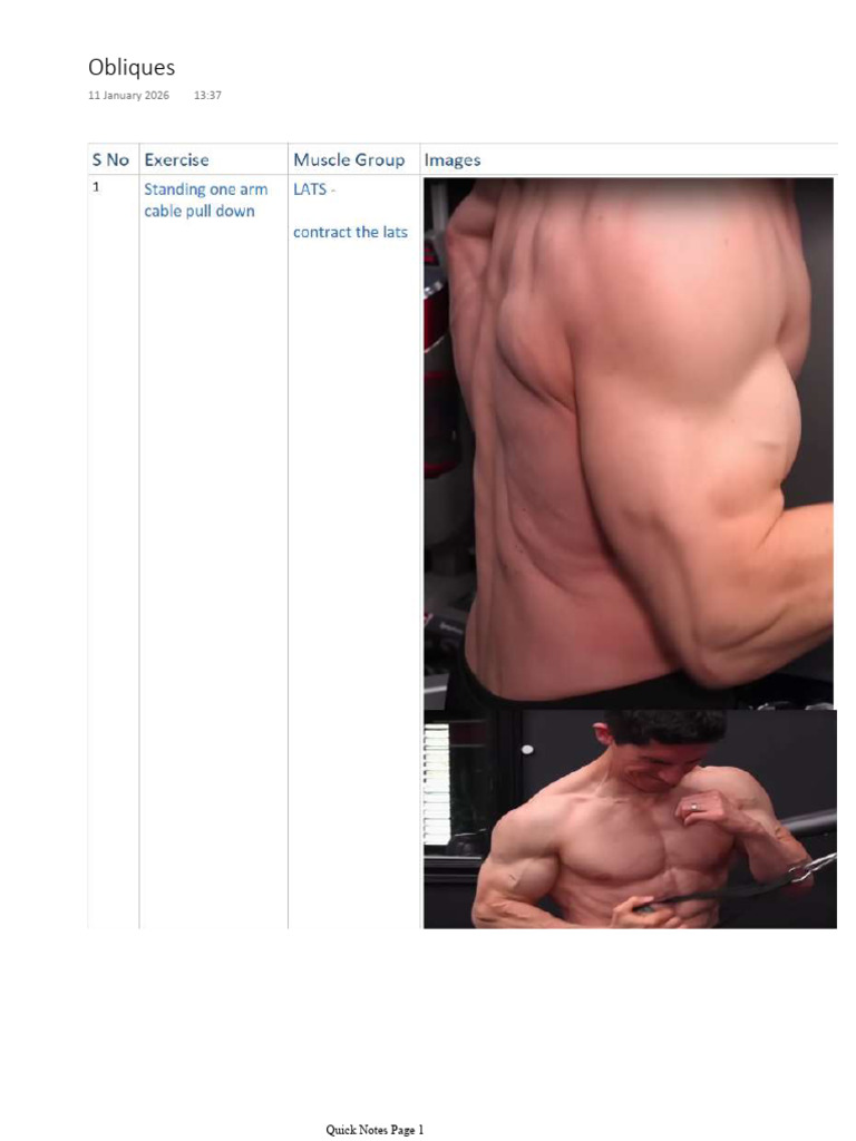 Oblique Muscles Overview and Notes | PDF