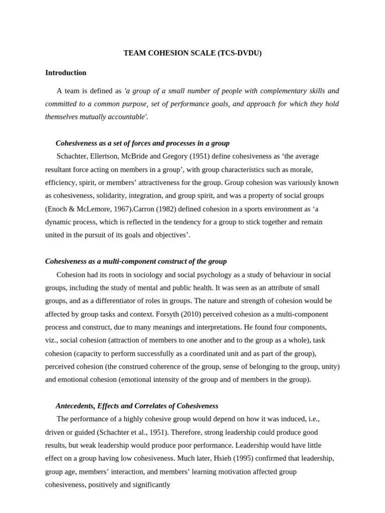 Team Cohesion Scale Overview and Methodology | PDF | Group Cohesiveness ...