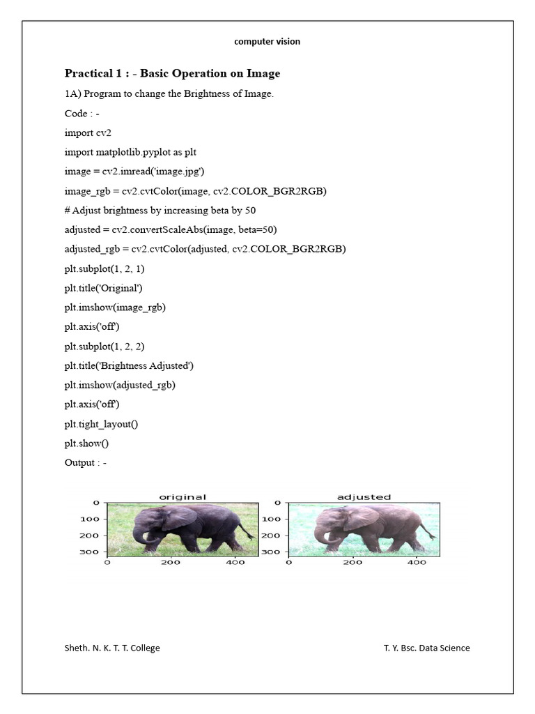 Image Processing Techniques in Python | PDF | Applied Mathematics ...