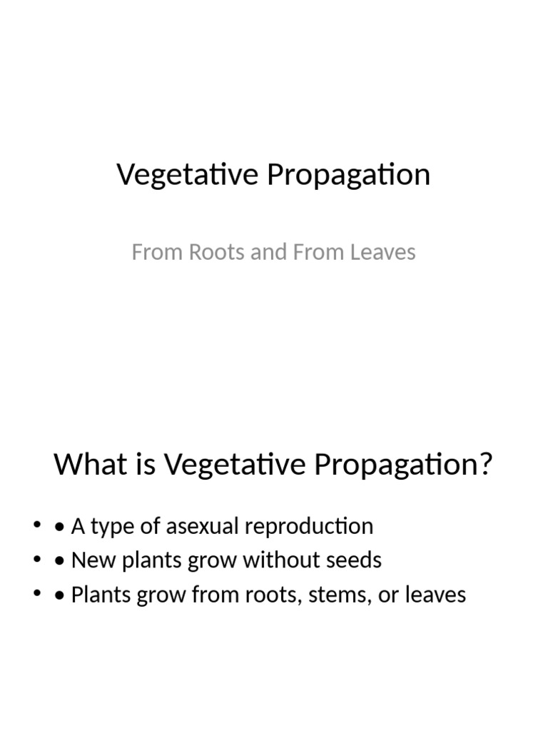 Vegetative Propagation Methods Explained | PDF