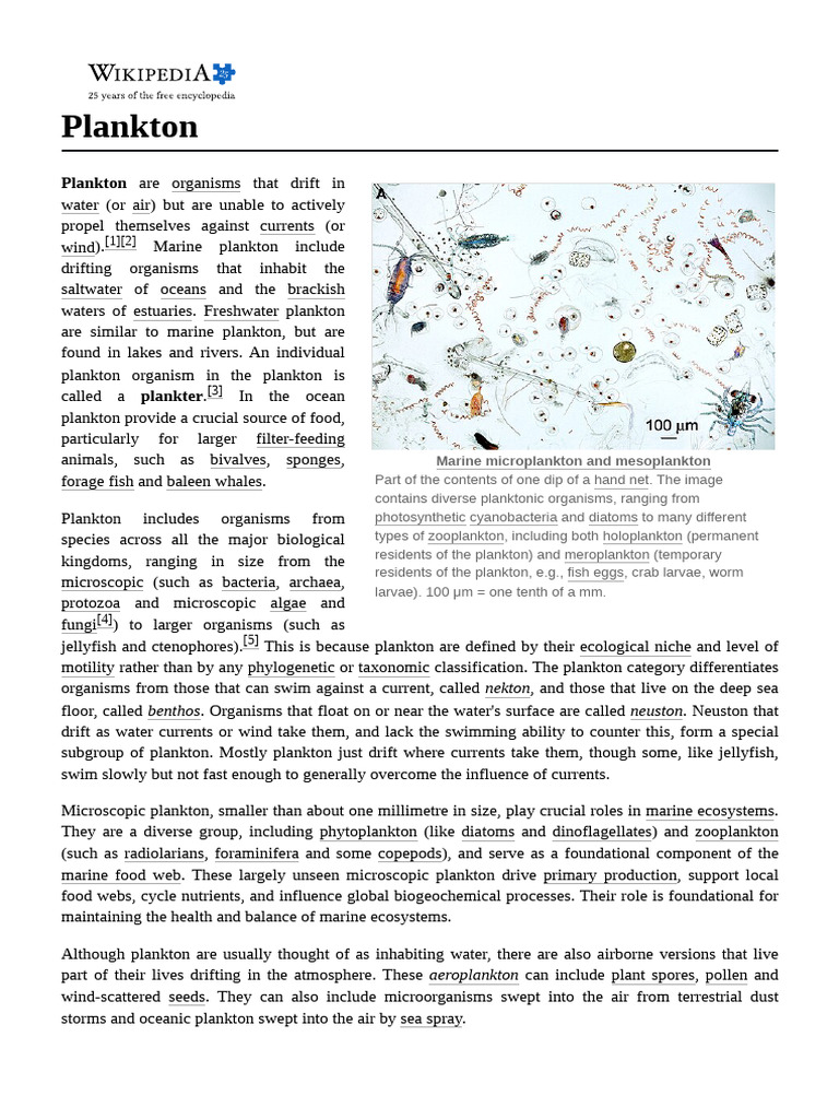 Marine Microplankton and Plankton Overview | PDF | Plankton | Physical ...