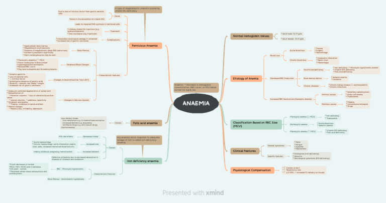 Anaemia Flowchart | PDF | Anemia | Diseases And Disorders