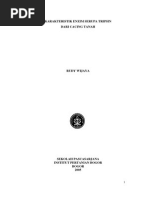 Download 2005 Rwi by iteki08 SN98361285 doc pdf