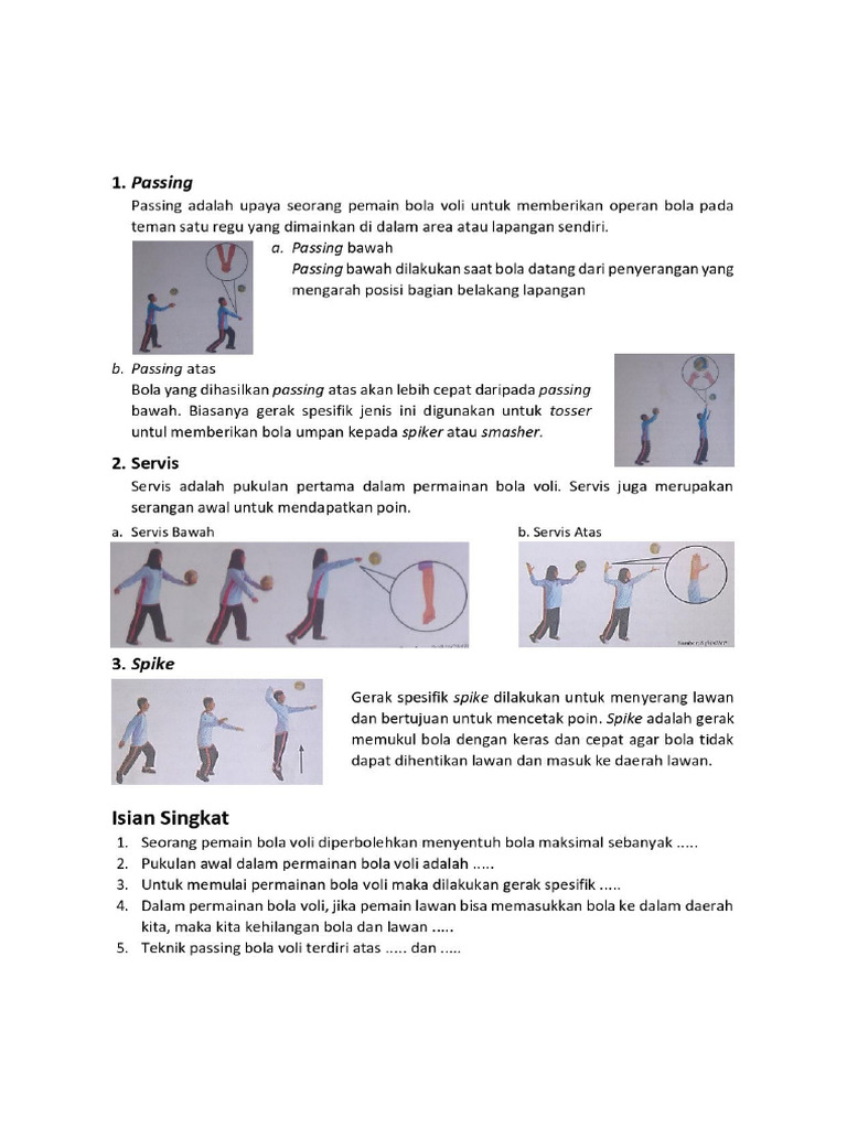 Voli | PDF