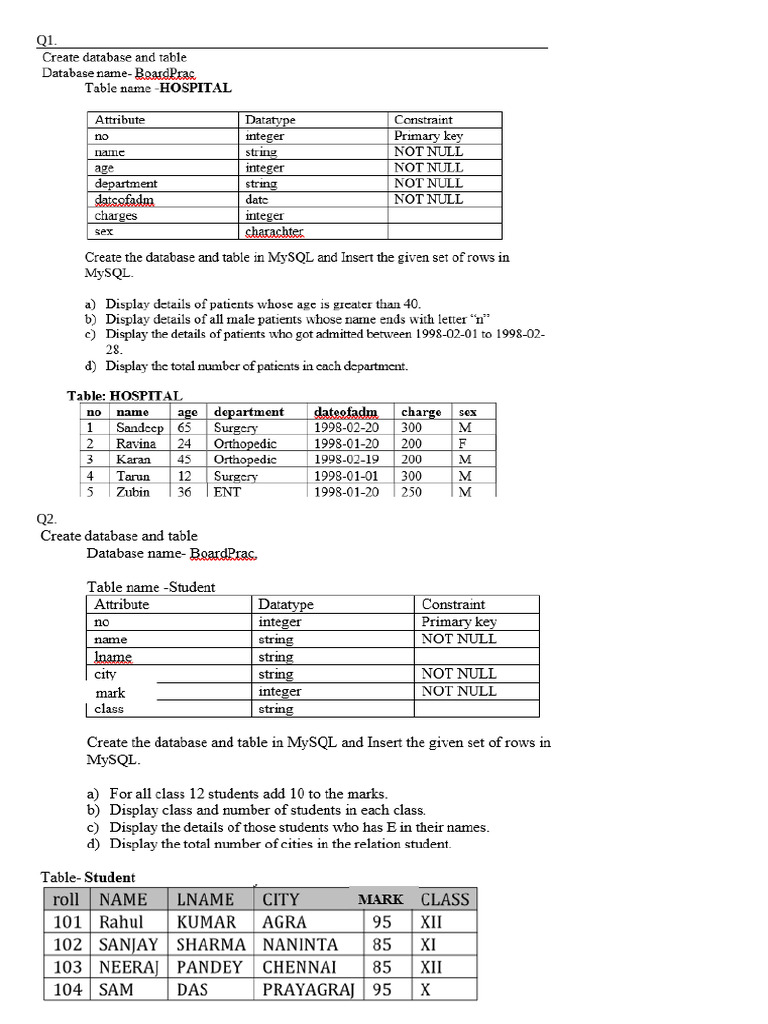 XII CS SQL Questions for Practical | PDF