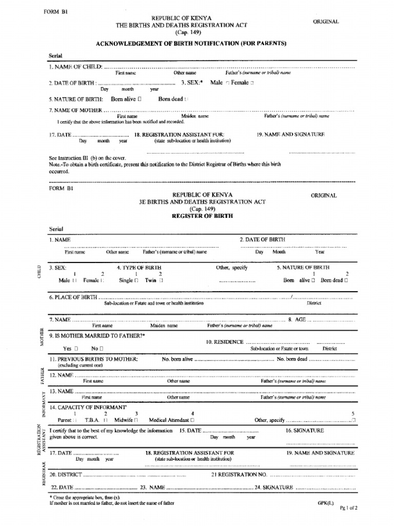 b1 Form | PDF