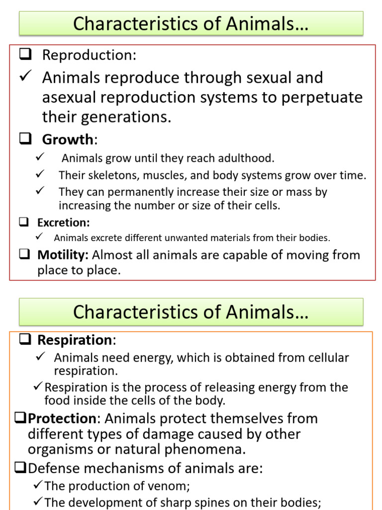 Key Characteristics of Animals | PDF