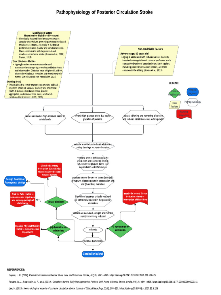 Pathophysiology of Posterior Stroke | PDF | Atherosclerosis | Stroke