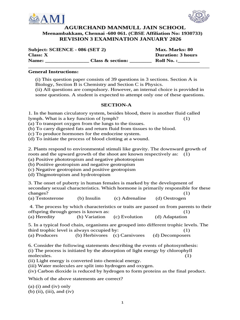 Class X Science Revision Exam 2026 | PDF | Chemistry