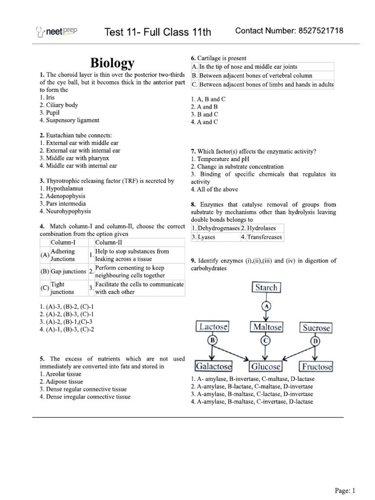 11 Full Test | PDF